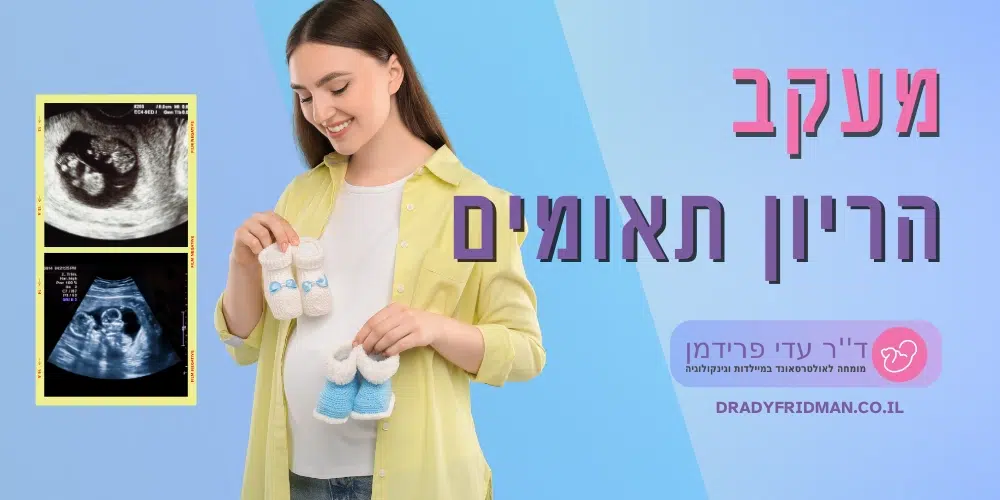 מעקב הריון תאומים דר עדי פרידמן