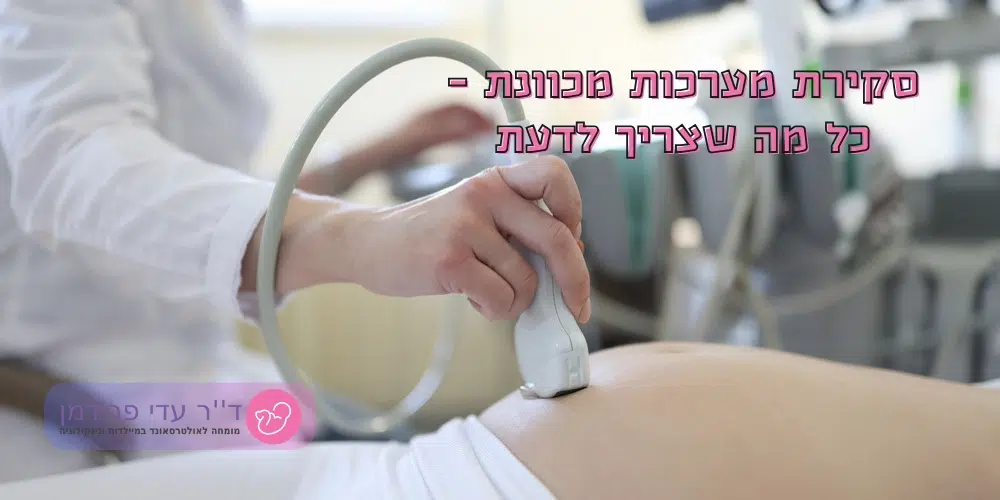 מהי סקירת מערכות מכוונת